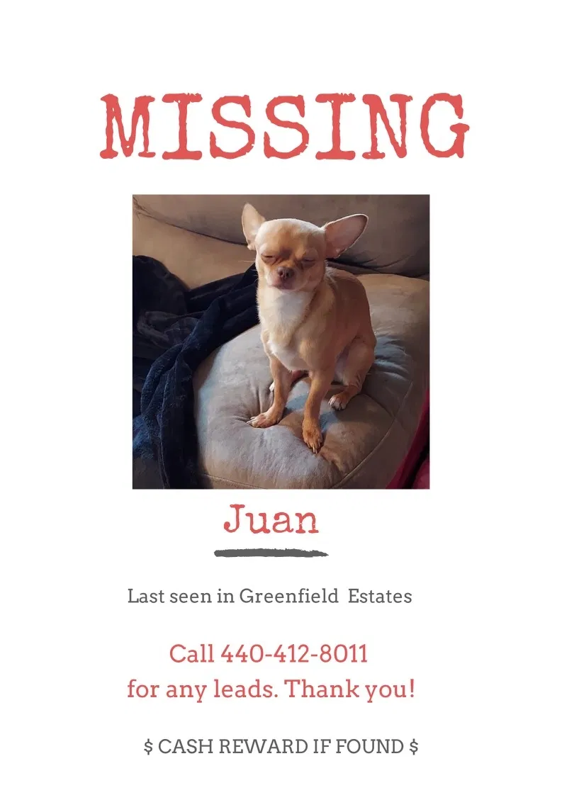 Lost dog in Elyria, OH, 44035