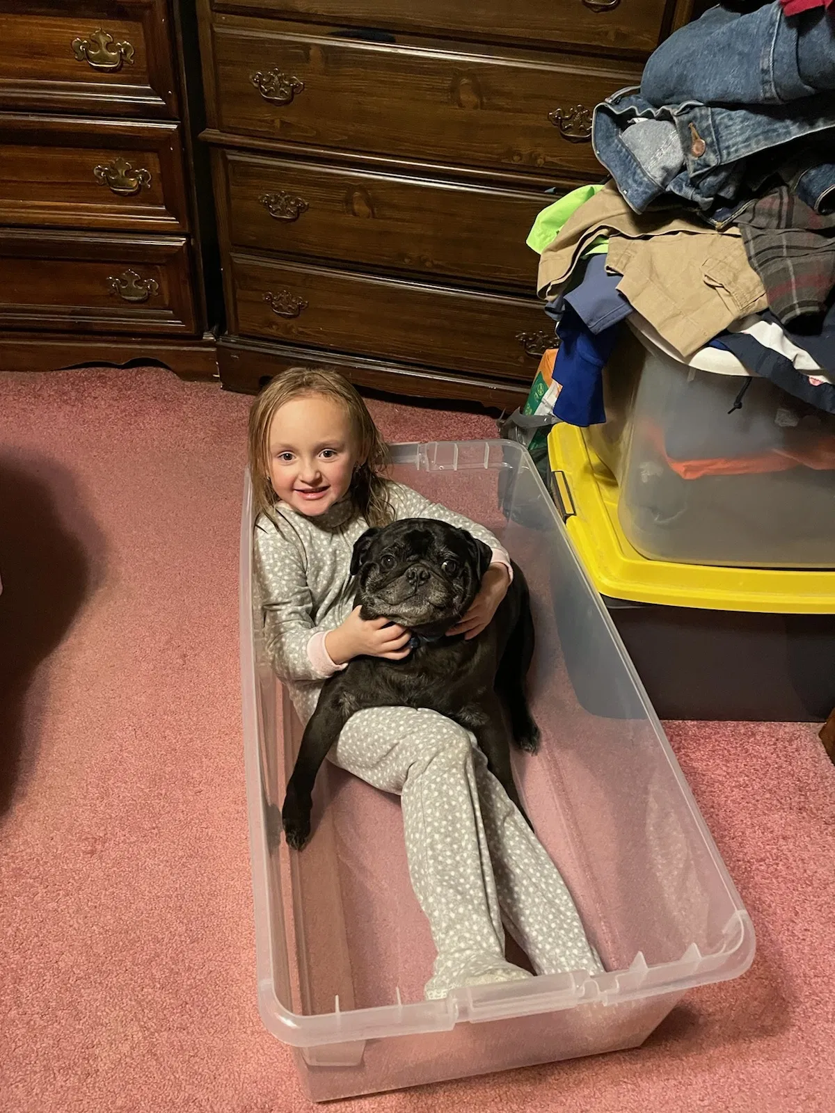 Lost dog in Shenandoah, PA, 17976