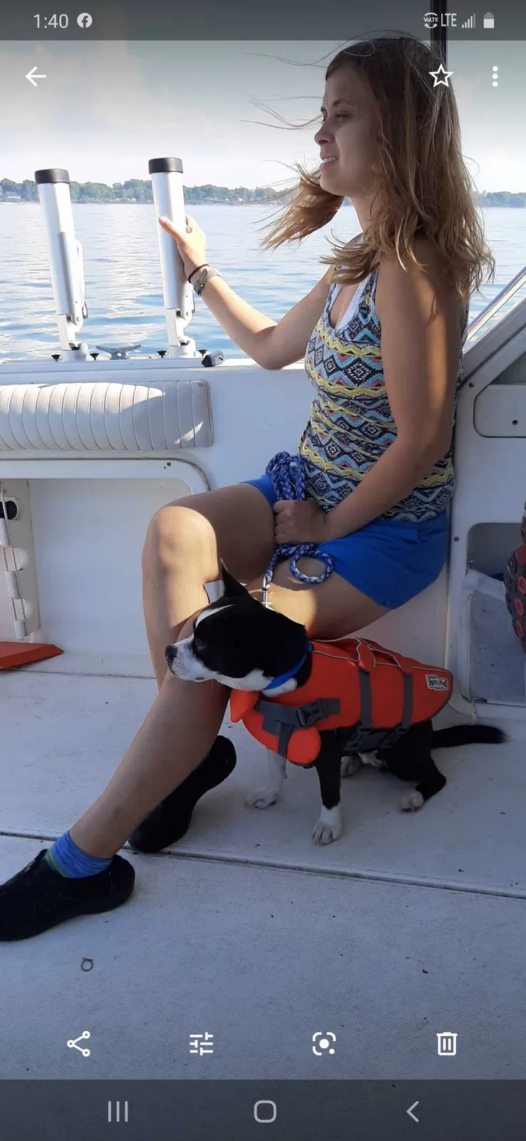 Lost dog in Louisville, KY, 40258