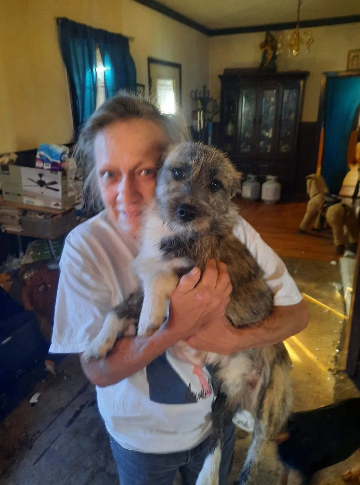 Lost dog in Clanton, AL, 35045