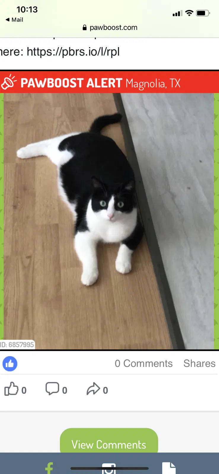 Lost cat in Magnolia, TX, 77354
