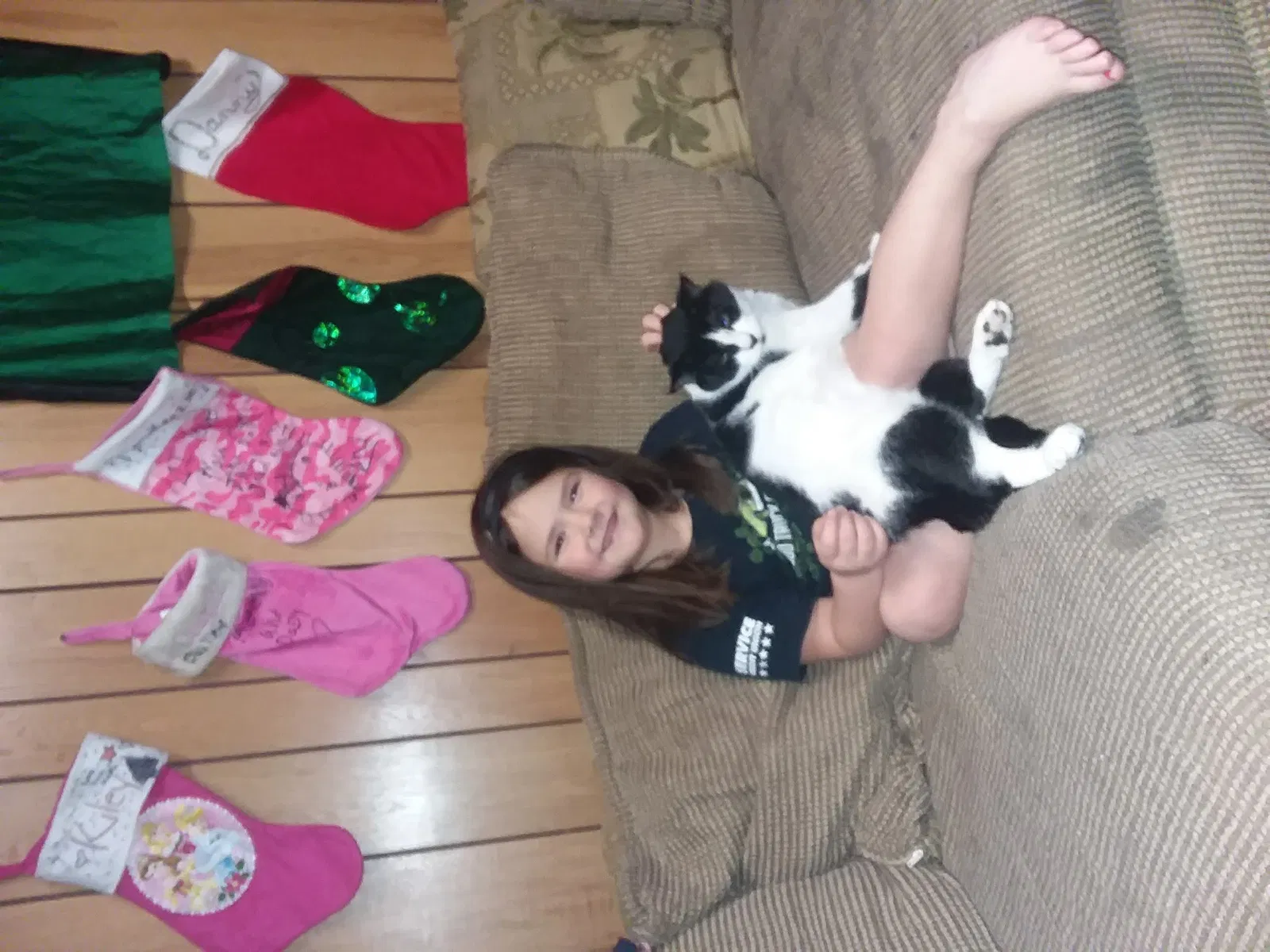 Lost cat in Dover, NH, 3820