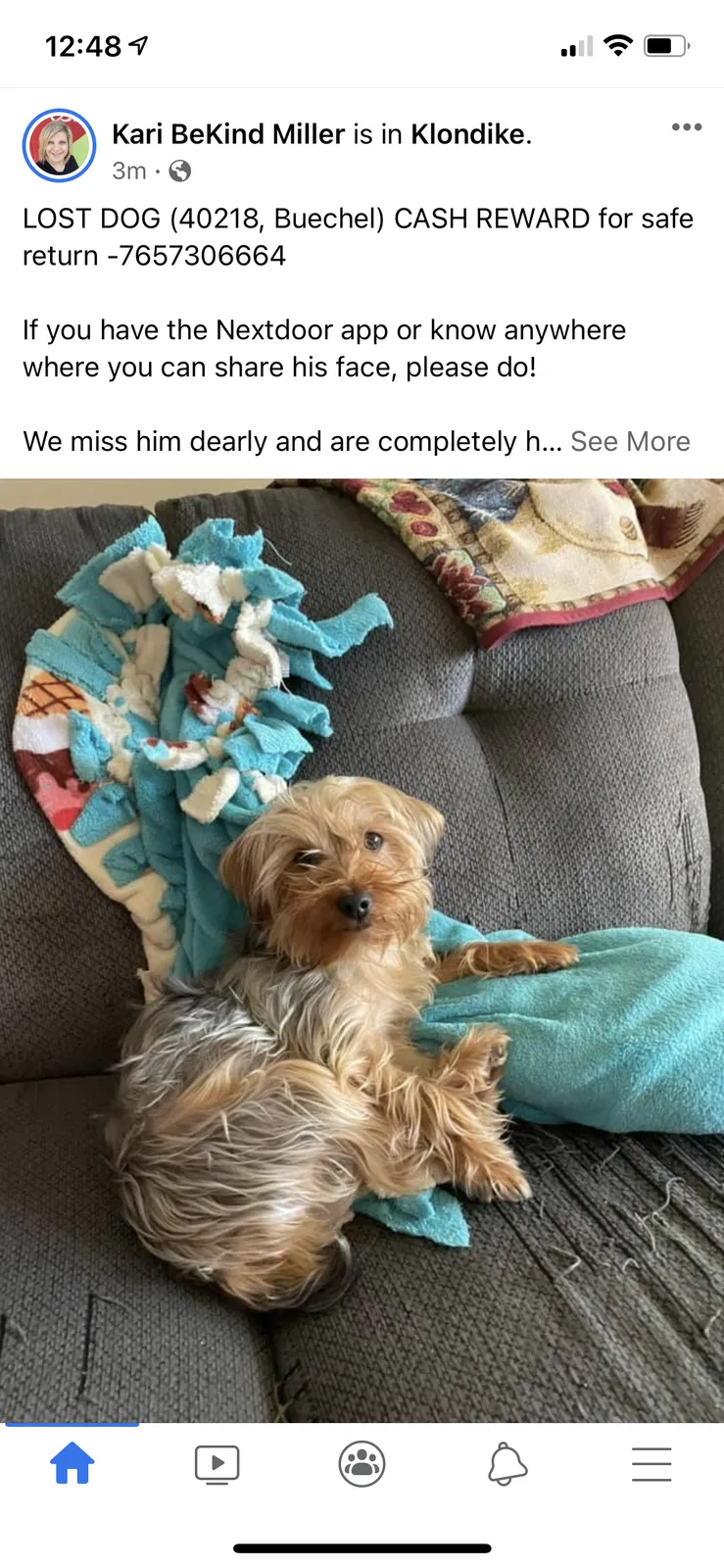Lost dog in Louisville, KY, 40218