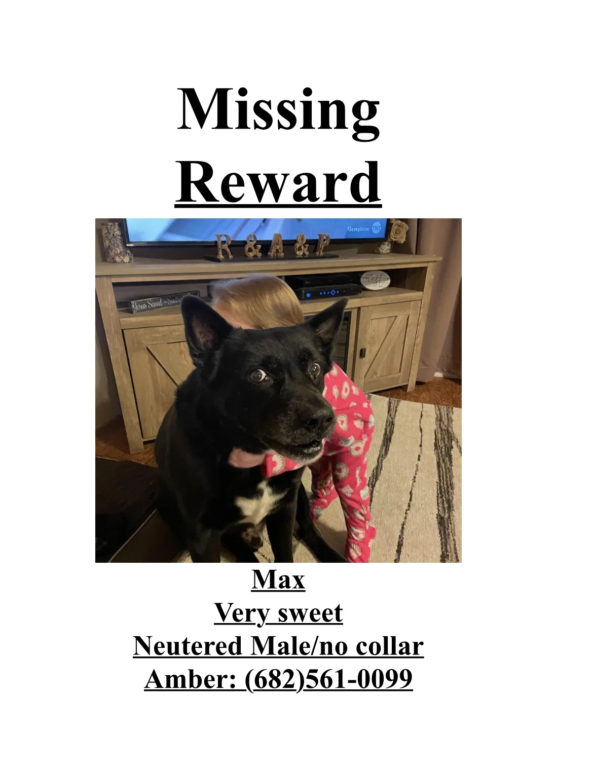 Lost dog in Alvarado, TX, 76009