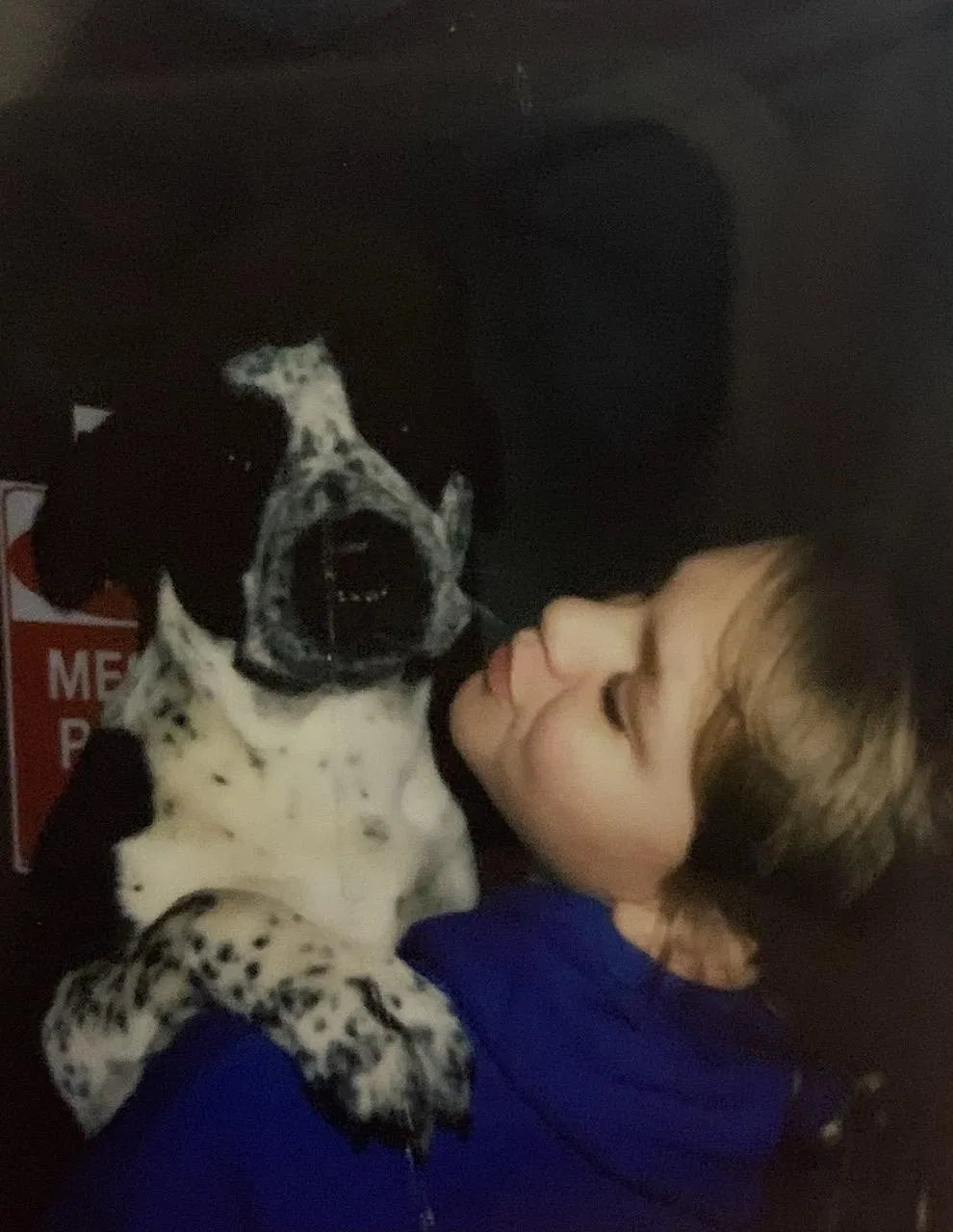 Lost dog in New Hope, AL, 35760