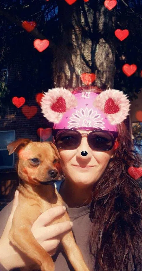 Lost dog in Lincoln, NE, 68502