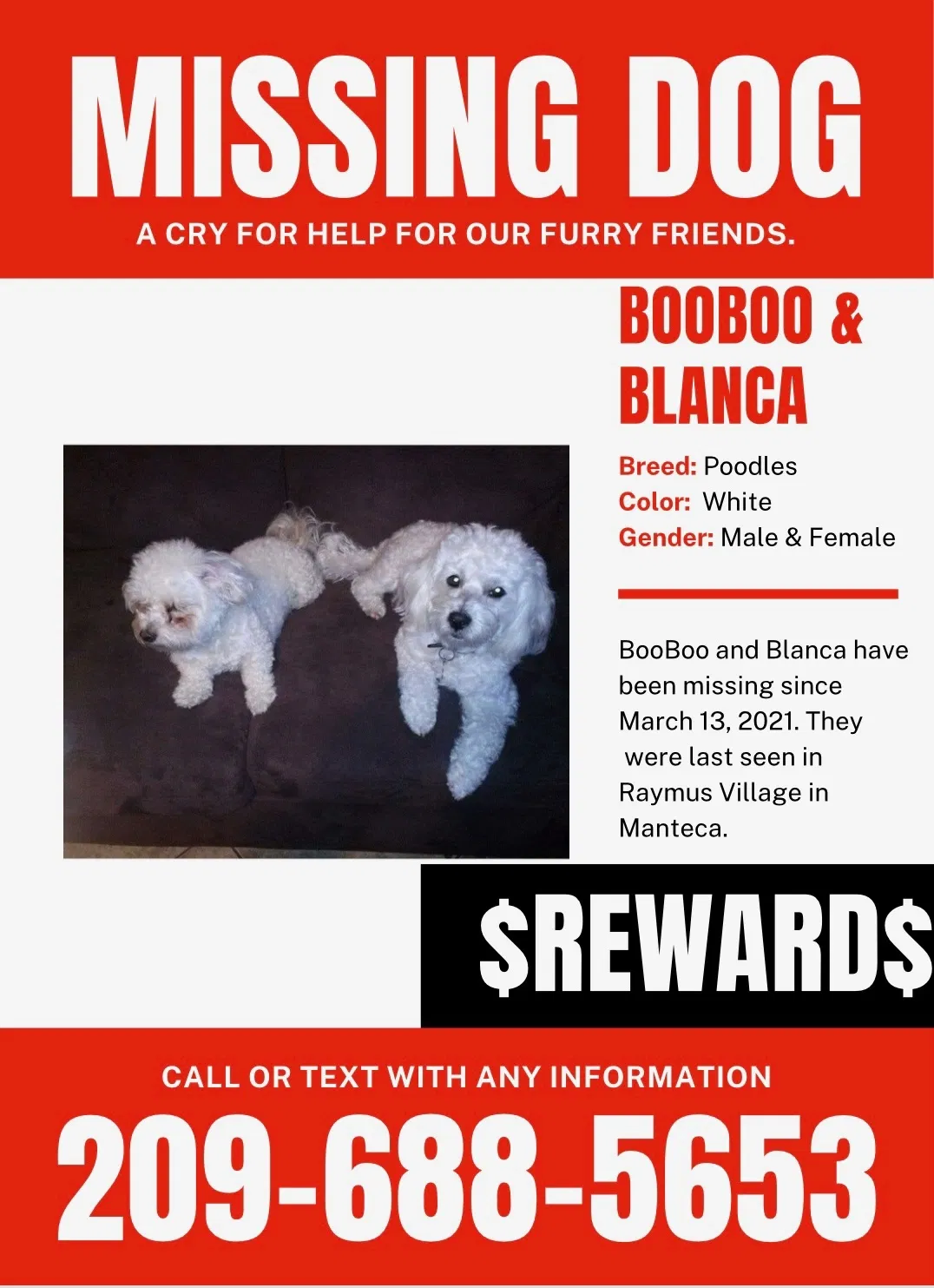 Lost dog in Manteca, CA, 95336