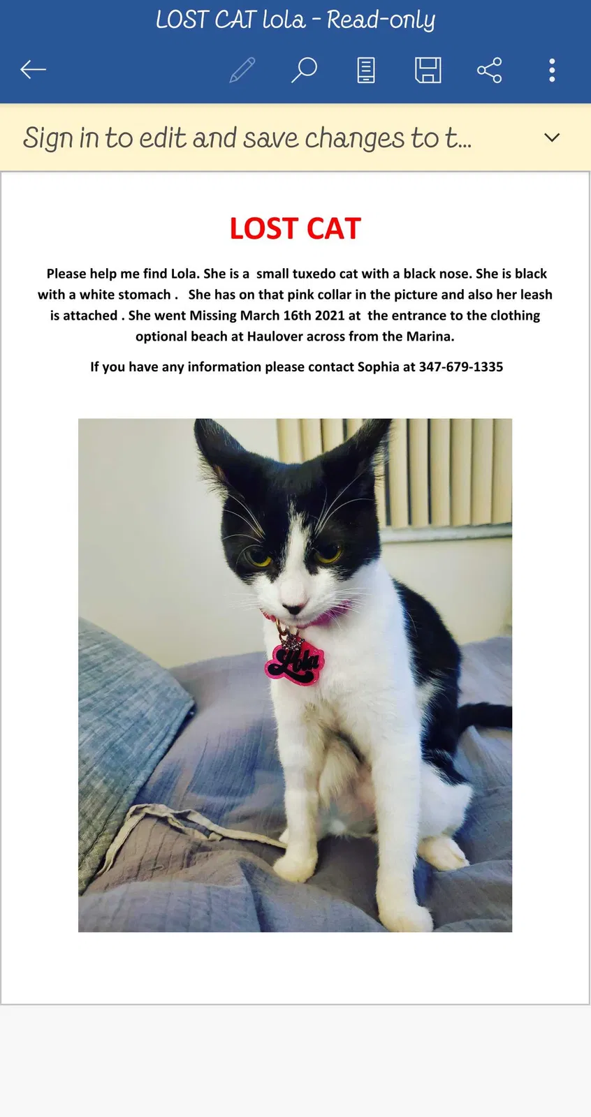 Lost cat in Miami Beach, FL, 33154