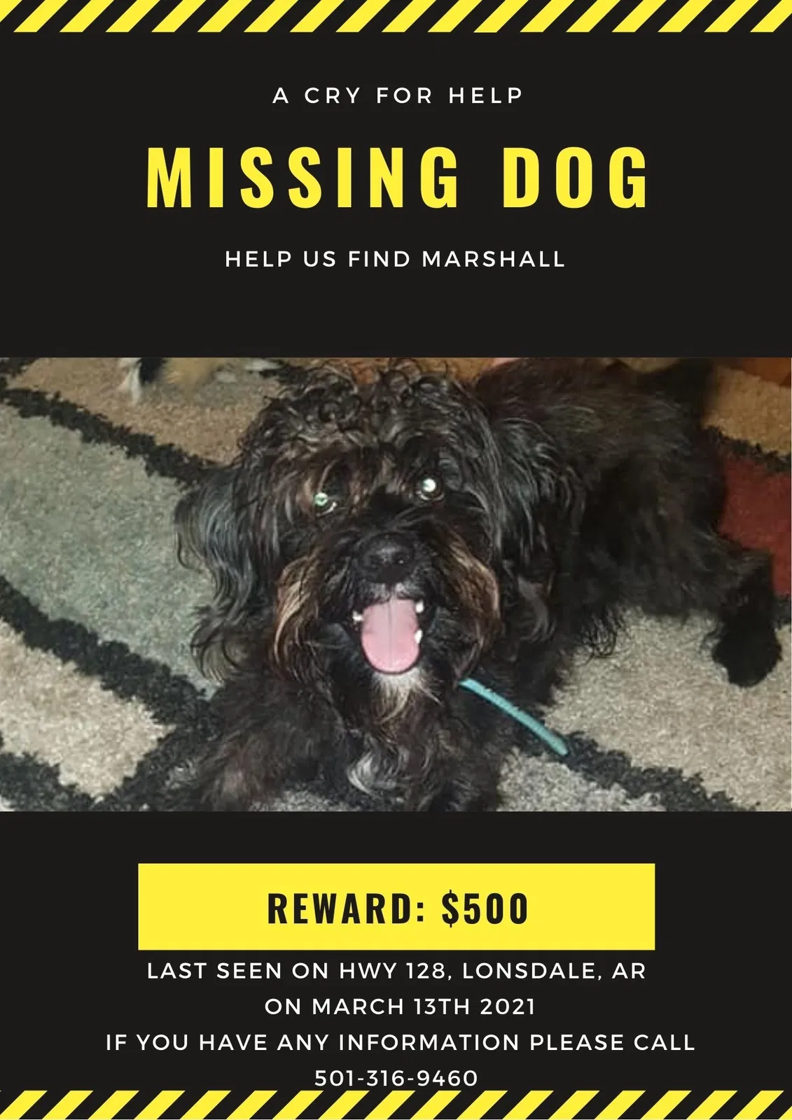 Lost dog in Lonsdale, AR, 72087
