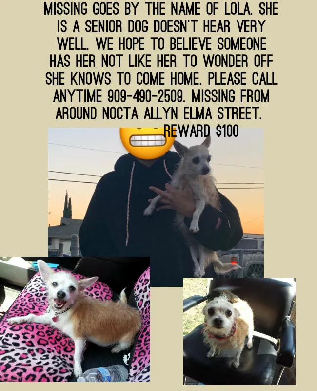 Lost dog in Ontario, CA, 91761