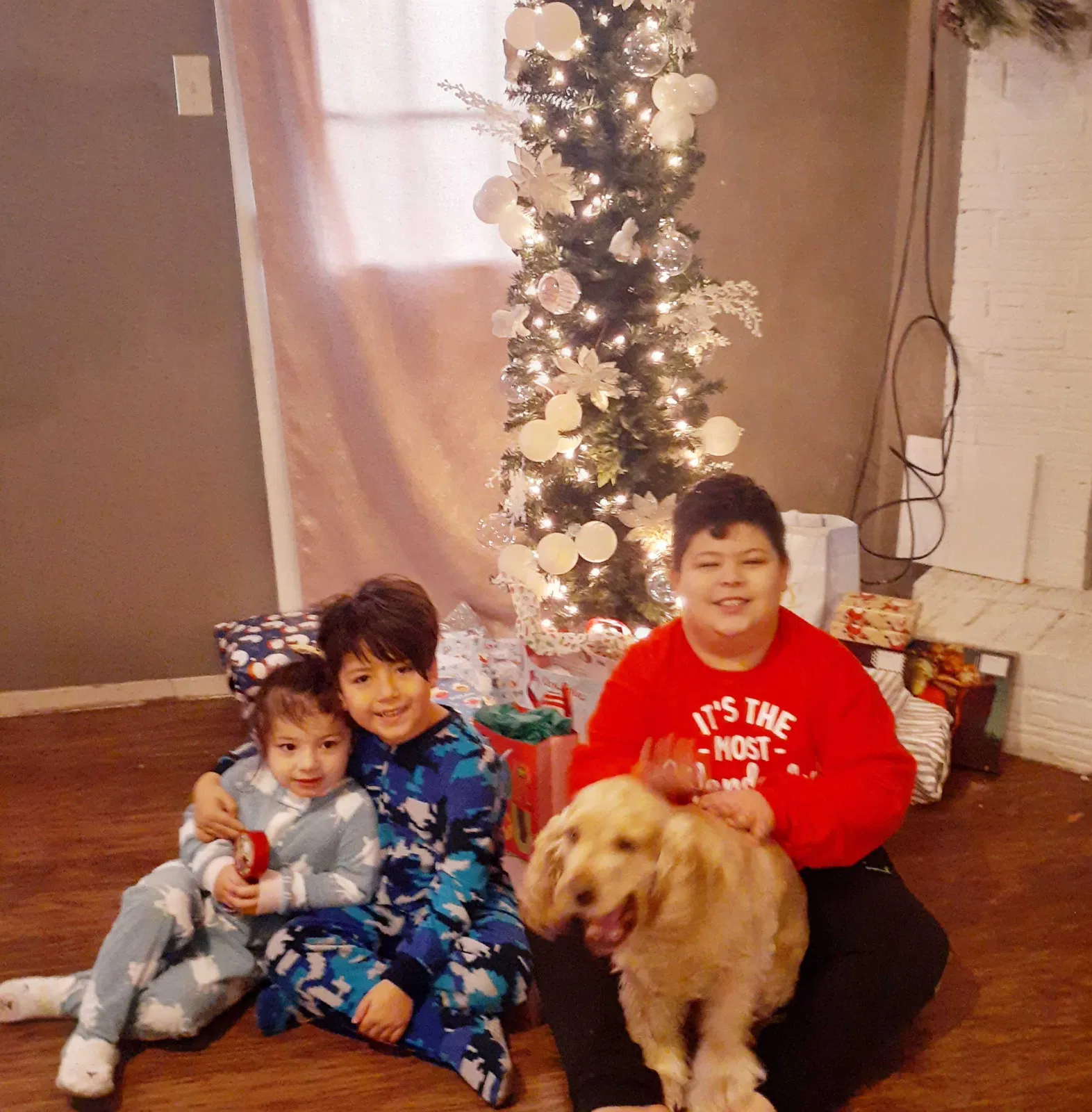 Lost dog in Austin, TX, 78752