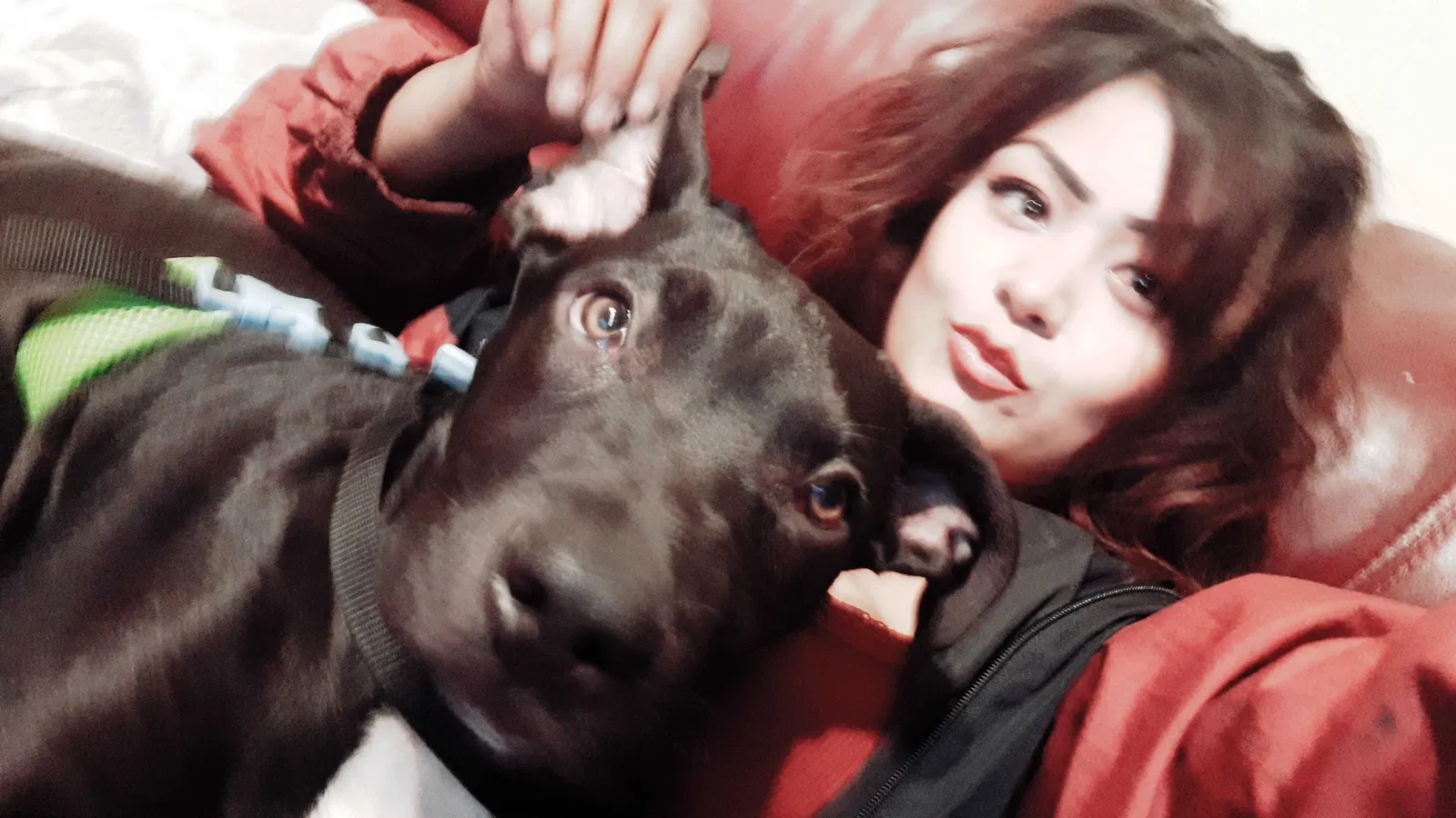 Lost dog in Azusa, CA, 91702