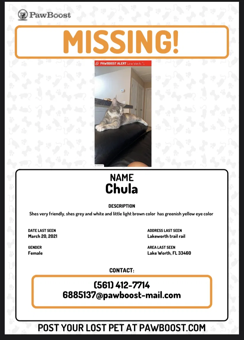 Lost cat in Lake Worth, FL, 33460
