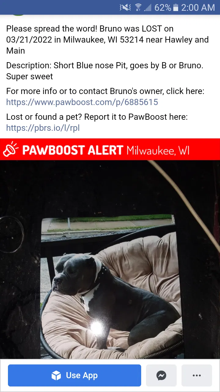 Lost dog in Milwaukee, WI, 53214