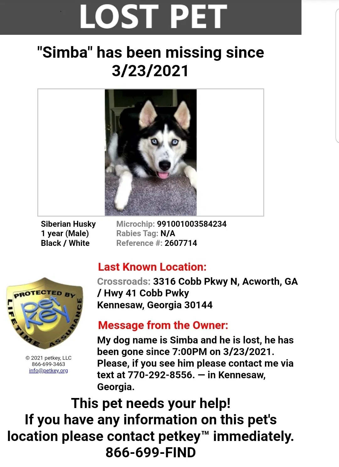 Lost dog in Kennesaw, GA, 30144