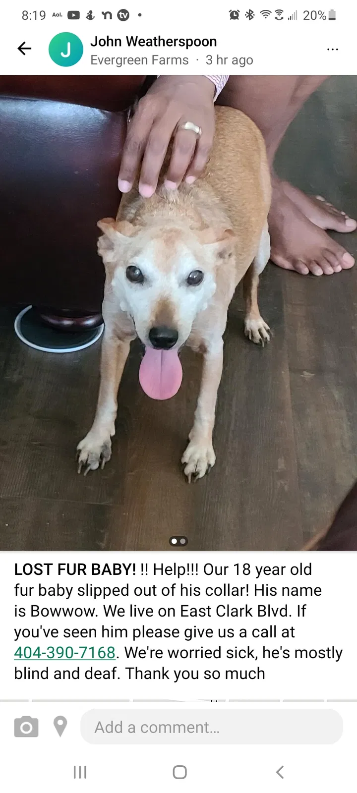 Lost dog in Murfreesboro, TN, 37130