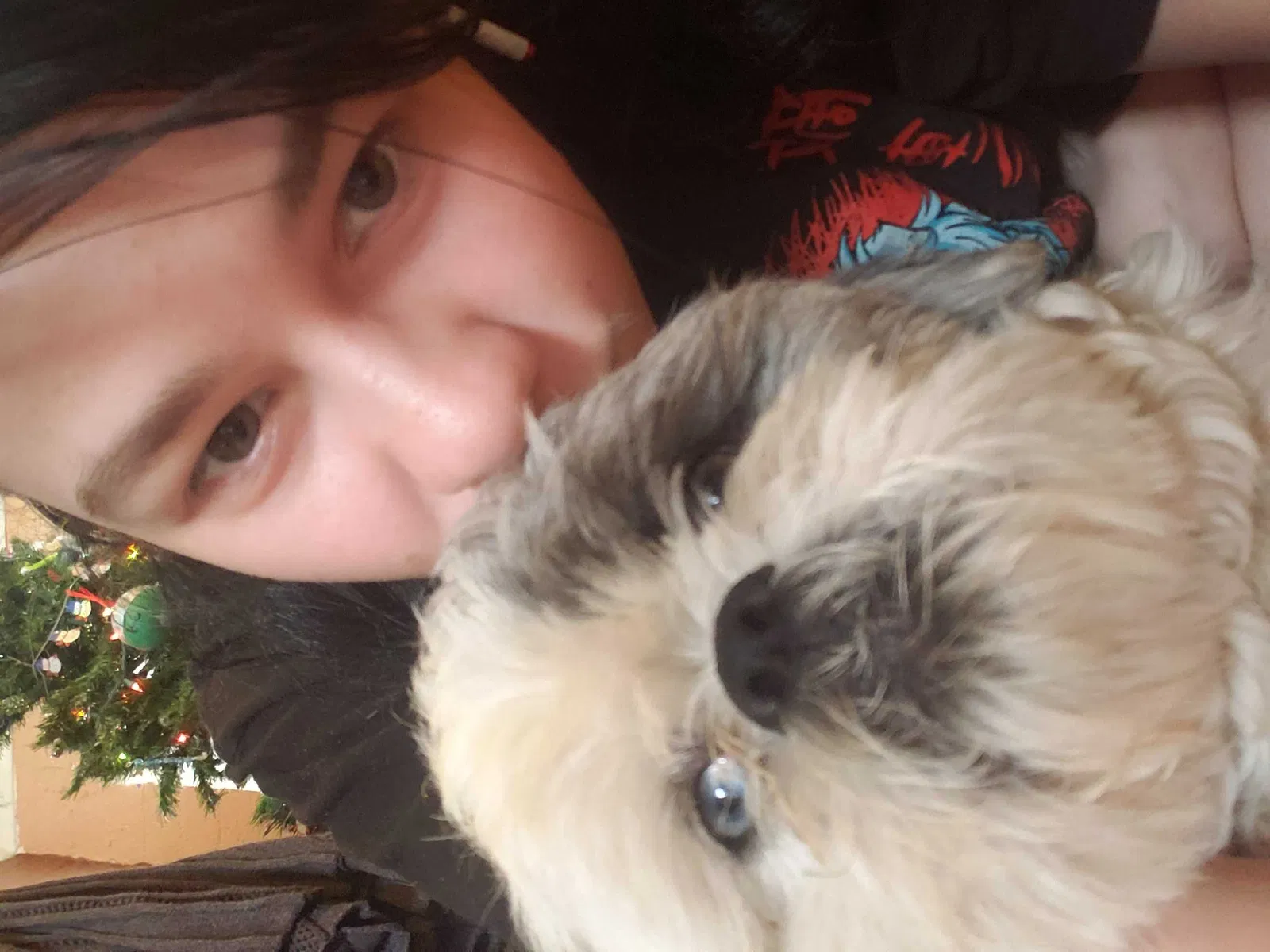 Lost dog in Casa Grande, AZ, 85122