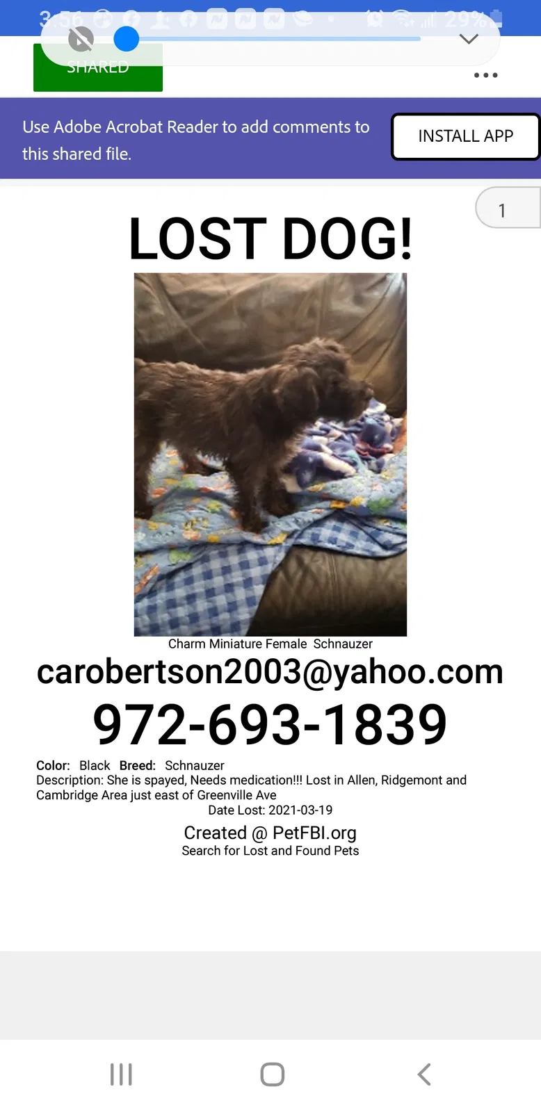 Lost dog in Allen, TX, 75002
