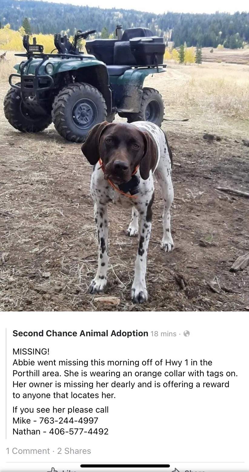 Lost dog in Bonners Ferry, ID, 83805