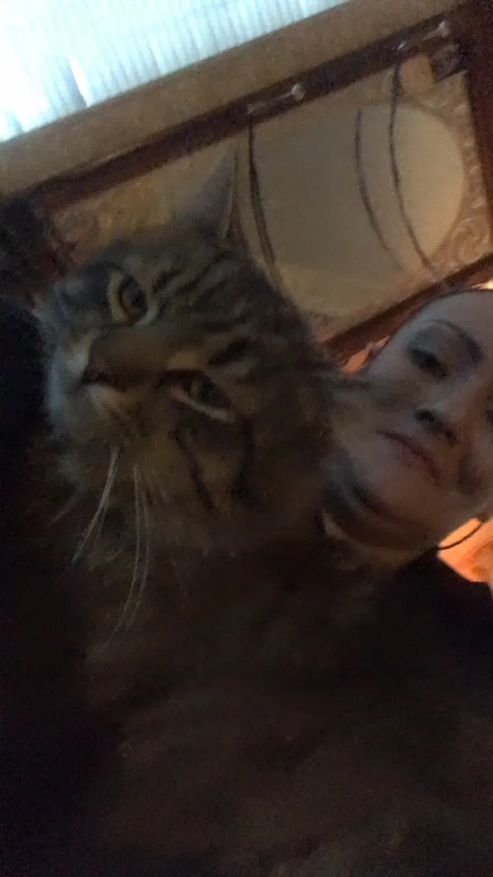 Lost cat in Salt Lake City, UT, 84104