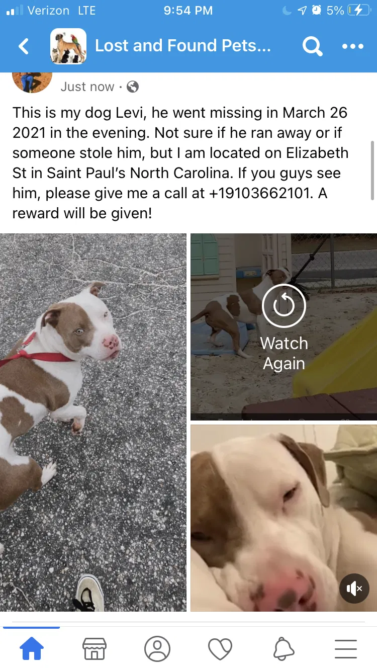Lost dog in Saint Pauls, NC, 28384