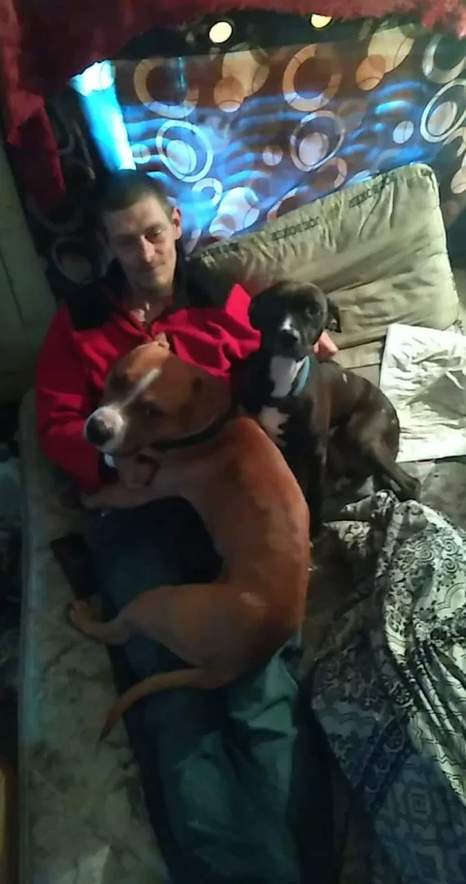 Lost dog in Flint, MI, 48505