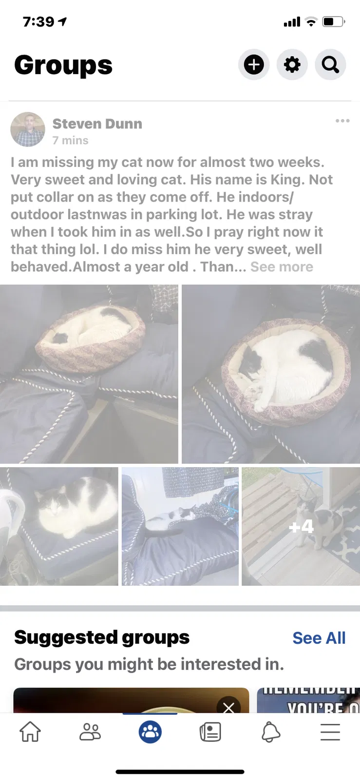 Lost cat in Beaumont, TX, 77702