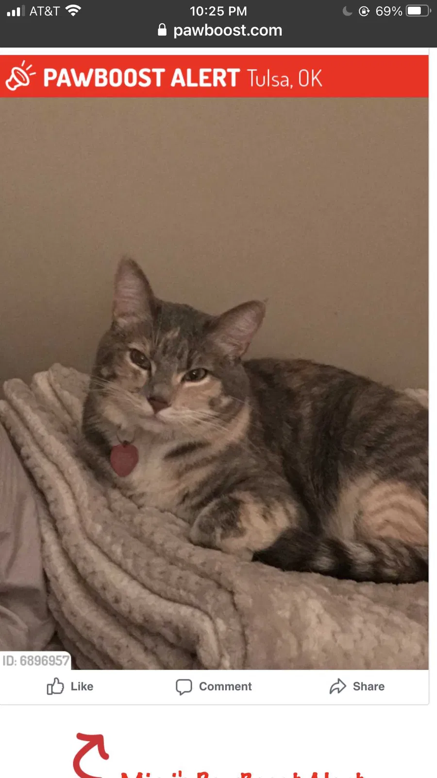 Lost cat in Tulsa, OK, 74105