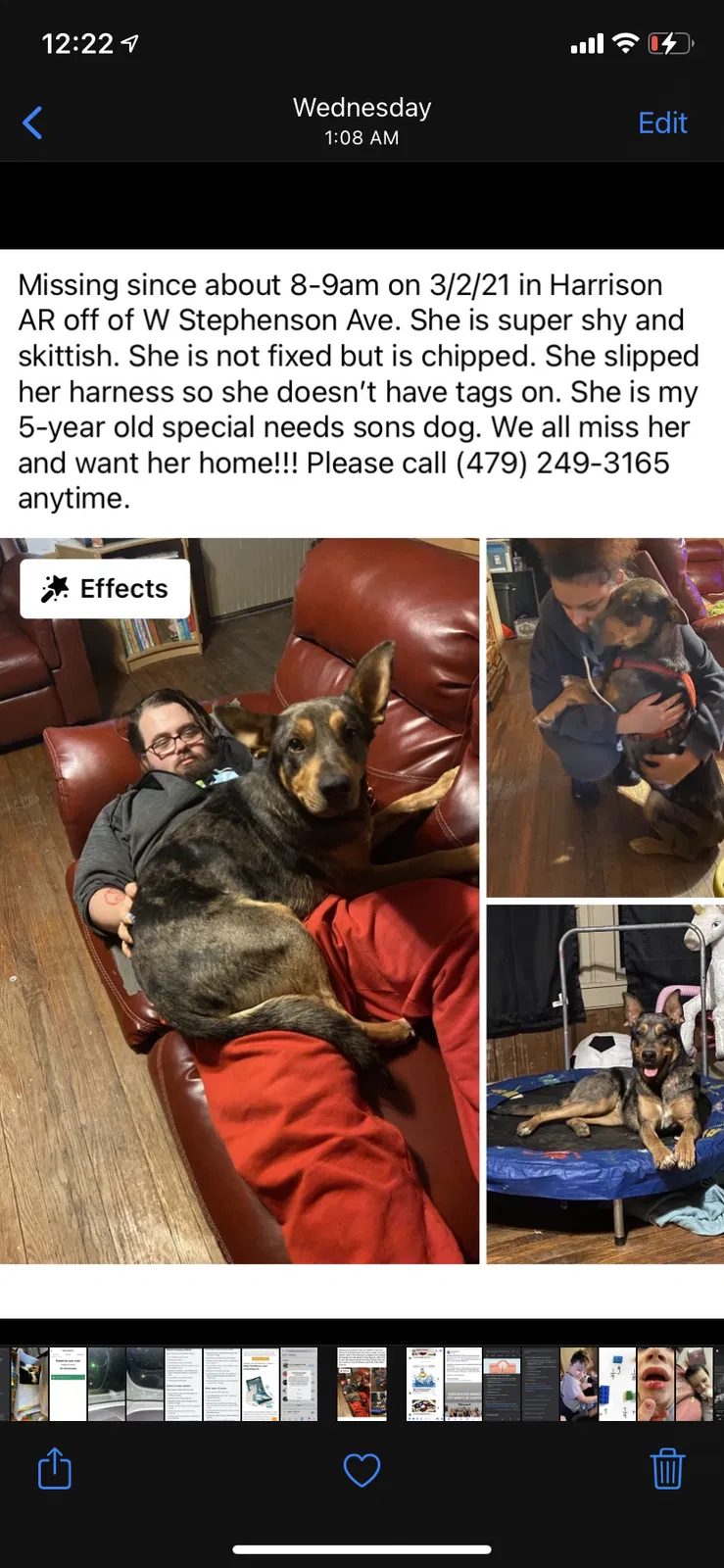 Lost dog in Harrison, AR, 72601