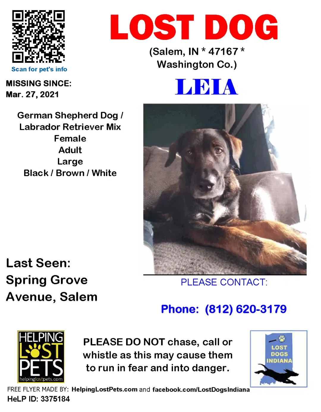 Lost dog in Salem, IN, 47167