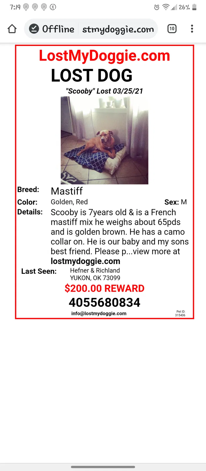 Lost dog in Yukon, OK, 73099