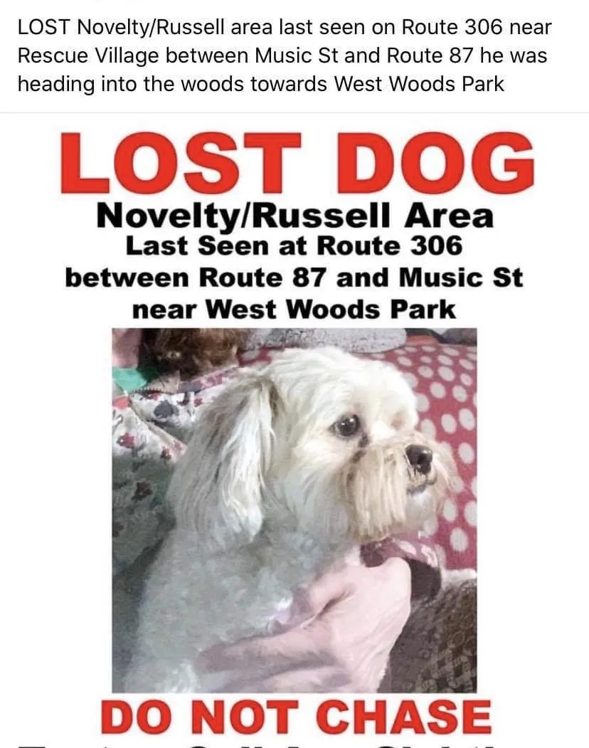 Lost dog in Novelty, OH, 44072
