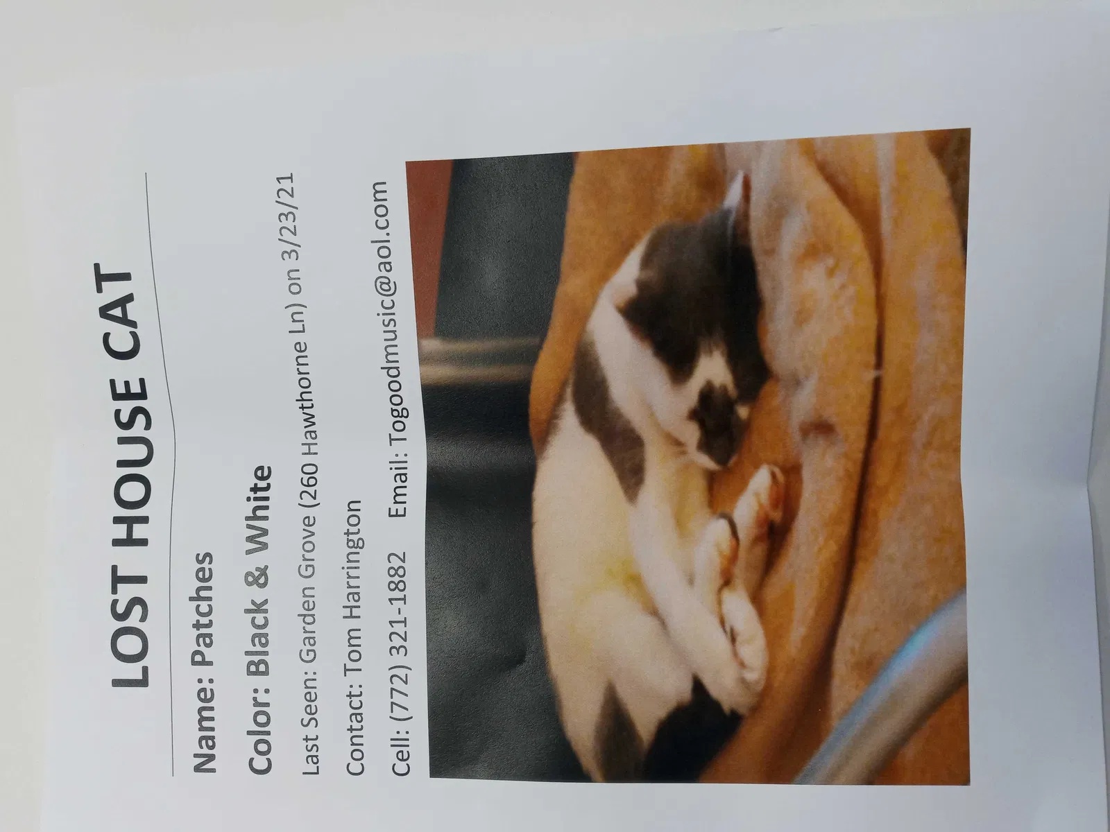Lost cat in Vero Beach, FL, 32962