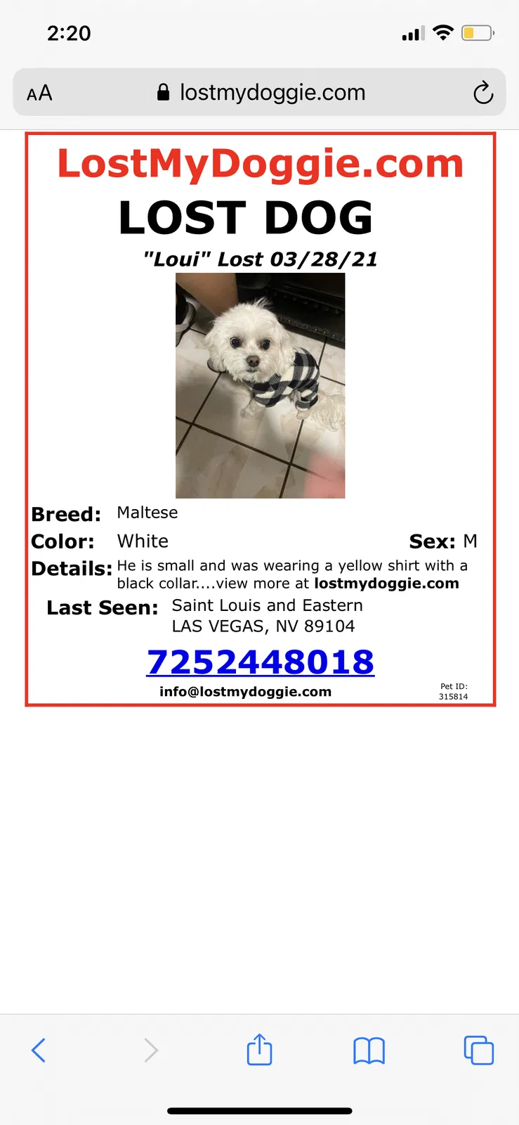 Lost dog in Las Vegas, NV, 89104