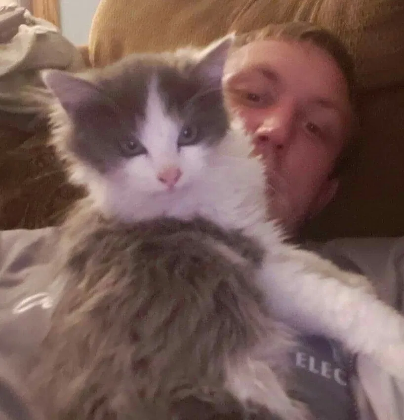 Lost cat in Mulvane, KS, 67110