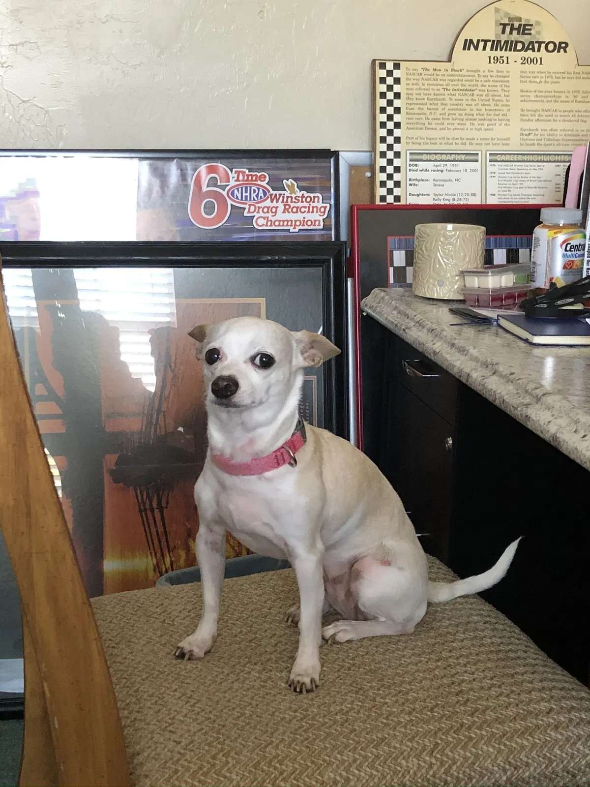 Lost dog in Lehigh Acres, FL, 33971