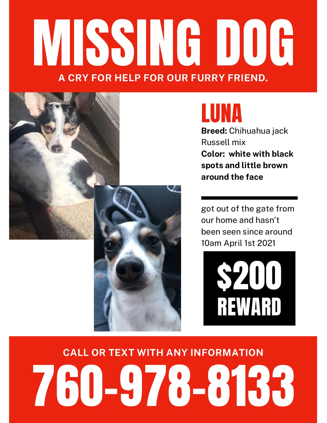 Lost dog in Oceanside, CA, 92057