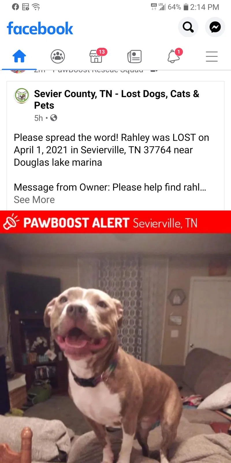 Lost dog in Unknown, TN, 0