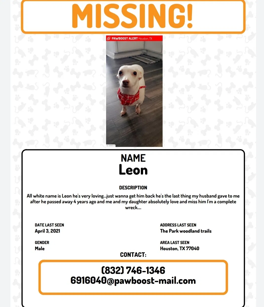 Lost dog in Houston, TX, 77040