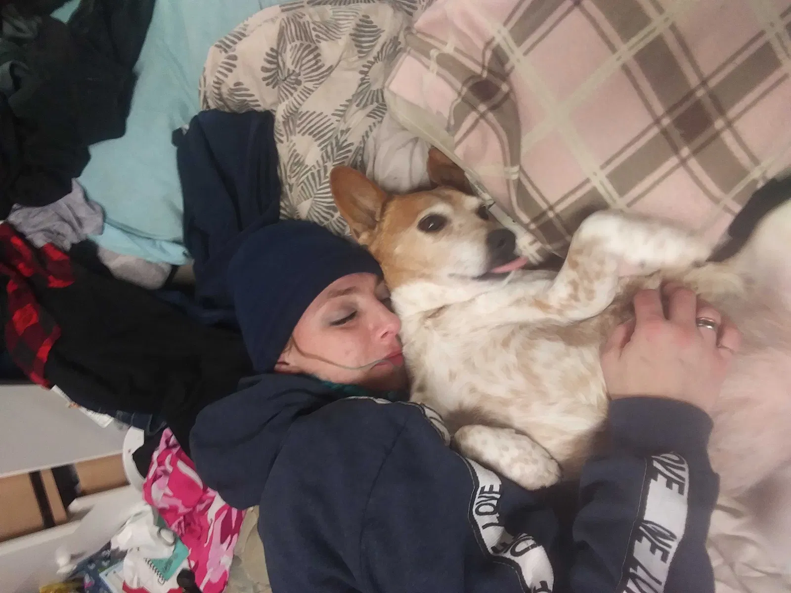 Lost dog in Pacific, WA, 98047