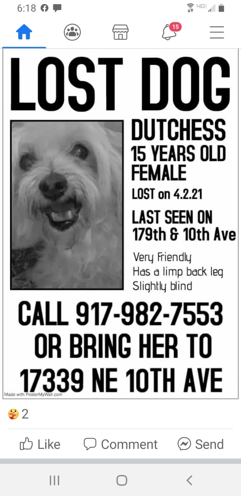 Lost dog in Miami, FL, 33162