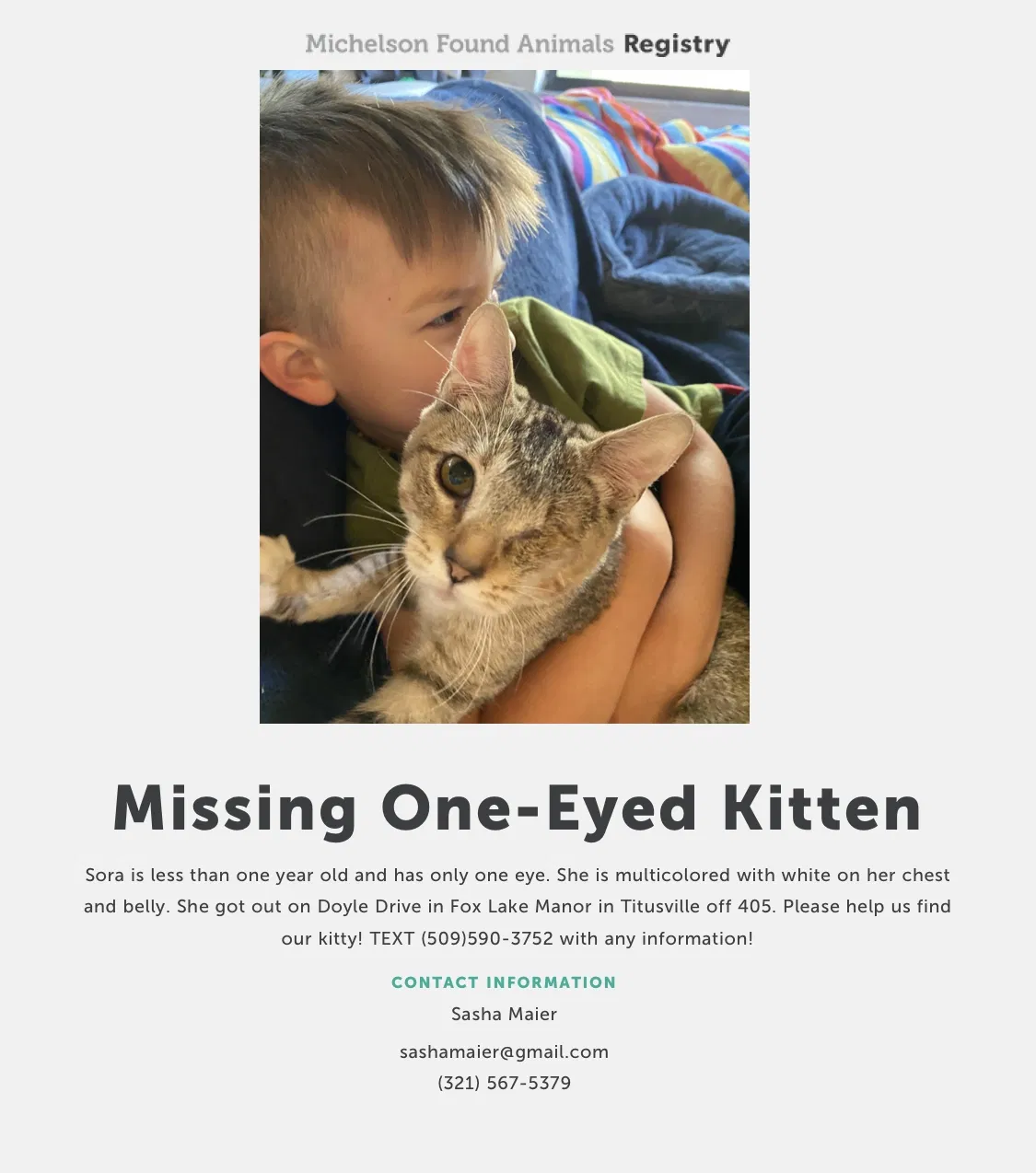 Lost cat in Titusville, FL, 32796