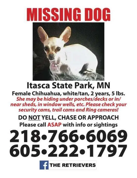 Lost dog in Unknown, MN, 56407