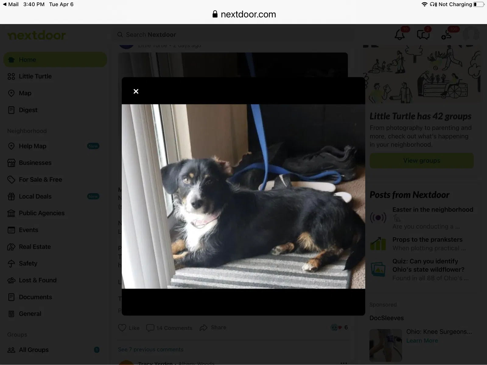 Lost dog in Westerville, OH, 43081