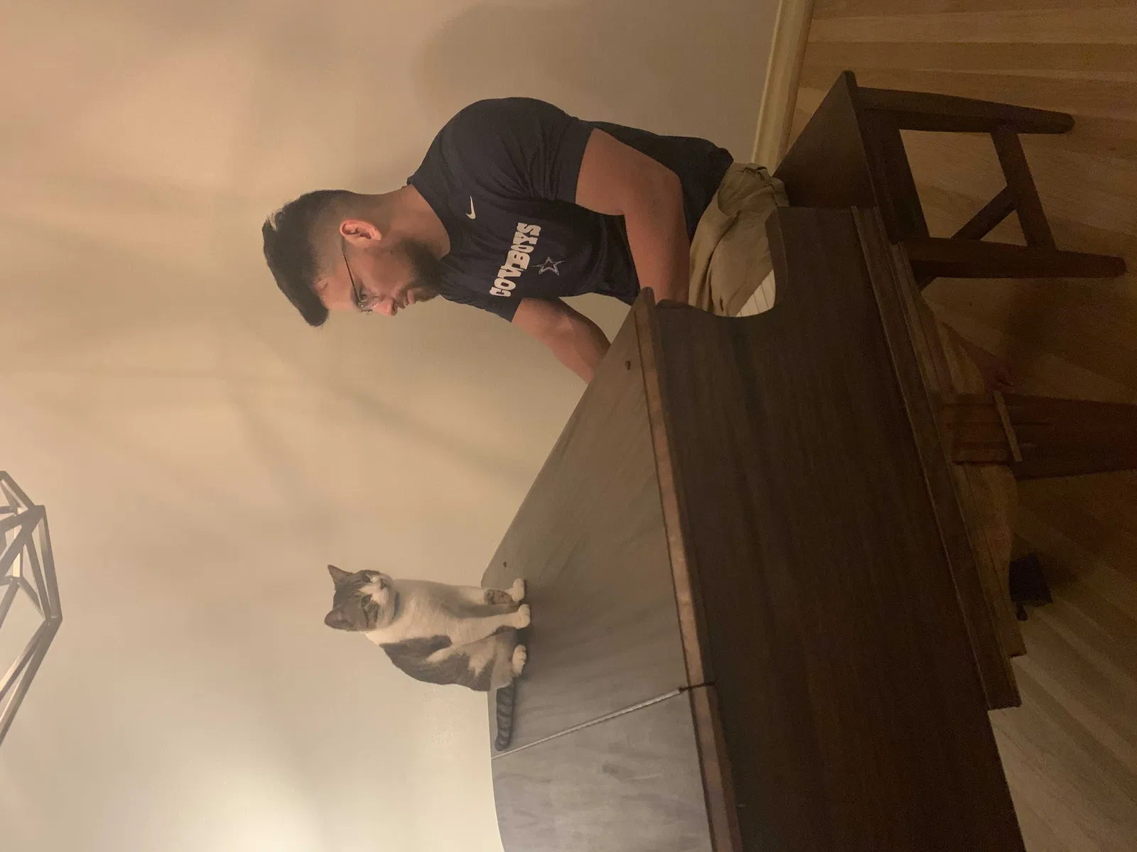 Lost cat in Arlington, TX, 76013