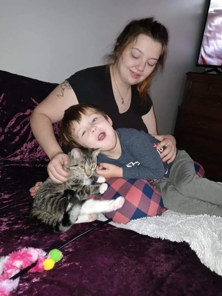 Lost cat in Wonder Lake, IL, 60097