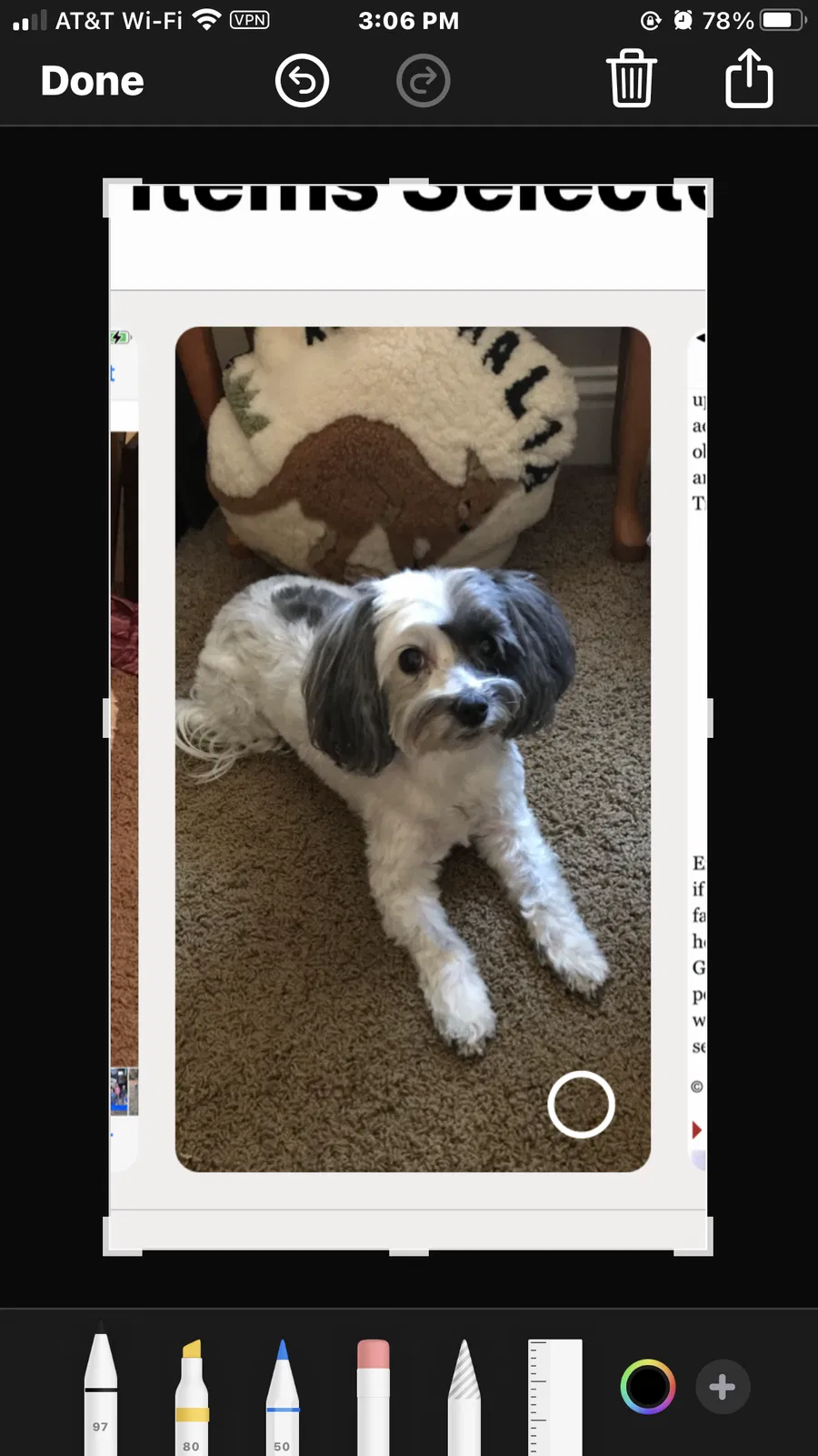 Lost dog in Visalia, CA, 93291