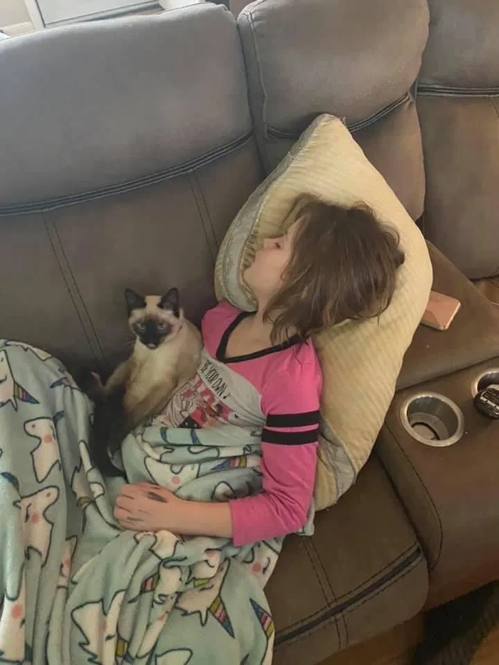 Lost cat in Cedar Hill, TN, 37032