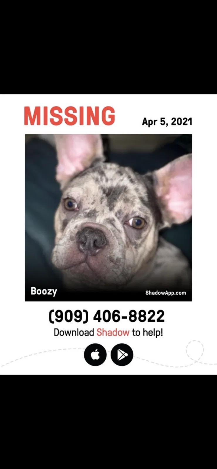 Lost dog in Victorville, CA, 92394