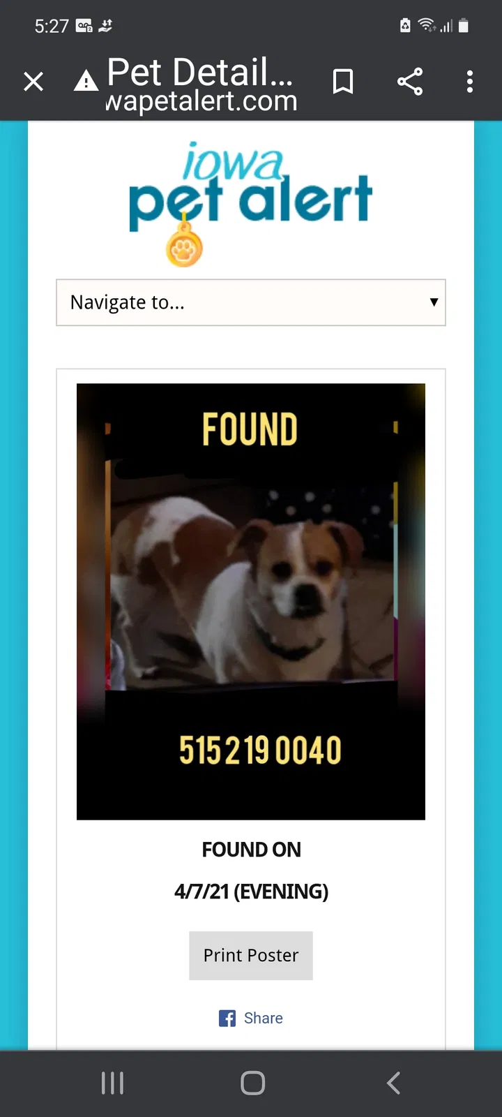 Found dog in Colfax, IA, 50054